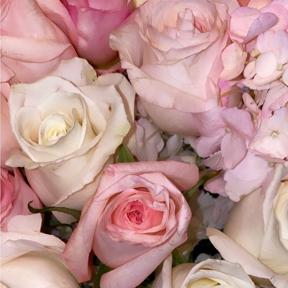 Meet your Posher, Jen